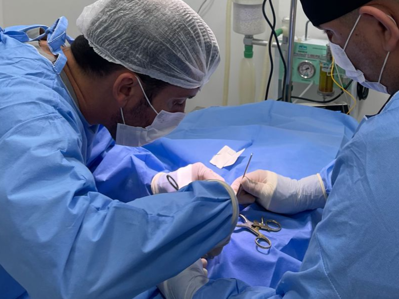 Equipe cirúrgica veterinária